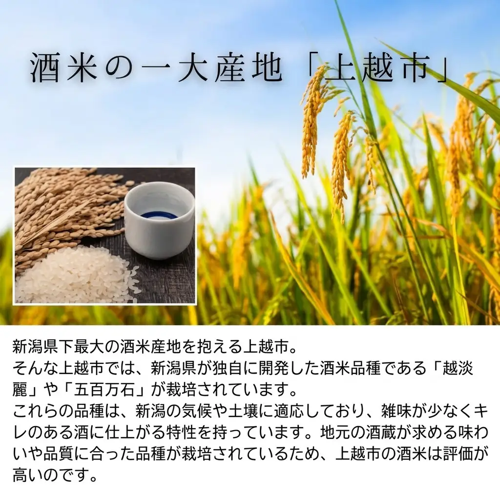越後銘門酒会 飲み比べ 雪中梅 720ml×2本 飲み比べ
