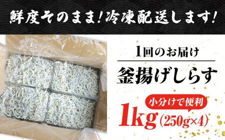 【全3回】冷凍釜揚げしらす1kg しらす[XCN008]