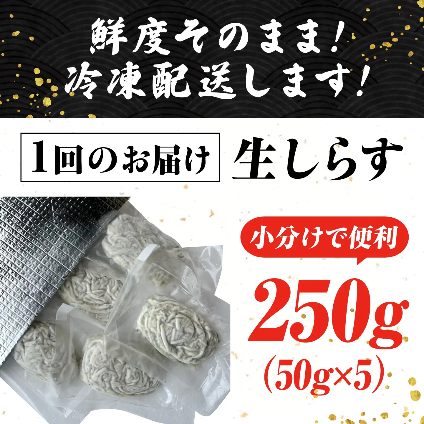 【全12回】冷凍生しらす50gX5個 しらす[XCN013]