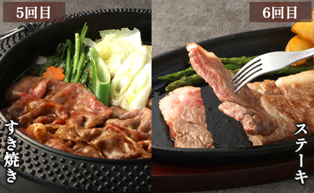 【6回定期便】鹿児島黒毛和牛 バラエティセット 焼肉 すき焼き ステーキ バラスライス 和牛ミンチ ハンバーグ 鹿児島牛 鹿児島黒毛和牛 黒毛和牛 ロース カルビ バラ 冷凍 定期便 6回