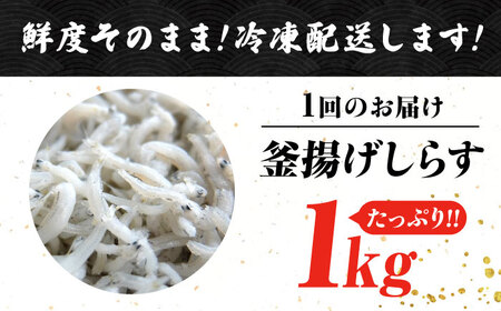 【全12回】訳あり釜揚げしらす1kg しらす[XCN028]
