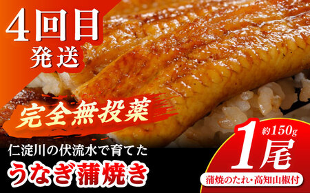 【4回定期便】高知のスタミナ定期便 /カツオ 食べ比べ 鰹のセット 鰹定期便 高知市 こだわりのかつお [ATZX022]