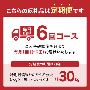 【定期便6か月】特別栽培米 京都府木津川市産ひのひかり 玄米30kg(5kg×6回） 毎日の健康に 053-39