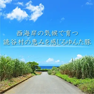 読谷育ち＜ゆんた豚＞しゃぶしゃぶセット 〇 ブランド 沖縄 読谷村 訳あり 希少 頭数限定 数量限定 地場産品 少量