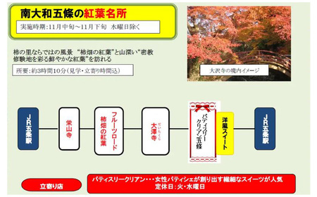 【半日コース（6時間）】タクシーで回る五條市観光 (最大4名様) | タクシー 観光 市内観光 神社仏閣巡り 五條市