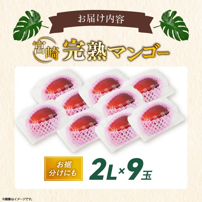 先行予約 数量限定 完熟マンゴー 2L×9玉（パック）マンゴー 宮崎 果物 フルーツ くだもの 2027年 国産 高級 マンゴージュース 南国フルーツ おすすめ デザート ギフト 贈り物 プレゼント 贈答 冷蔵 綾町 送料無料 【JA綾町】_A0114-1032
