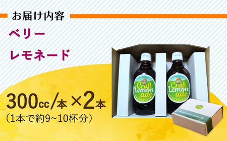 長崎ベリーレモネード（大瓶サイズ）2本入り 長与町/ながさきミュージアム[EBU008]  ジュース じゅーす 国産ジュース レモンジュース フルーツジュース れもねーど レモネードベース レモネードシロップ シロップ レモン れもん 柑橘 自家製 原液