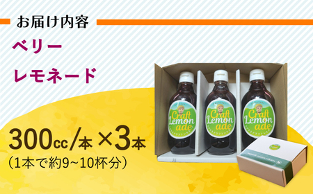 長崎ベリーレモネード（大瓶サイズ）3本入り 長与町/ながさきミュージアム[EBU009]  ジュース じゅーす 国産ジュース レモンジュース フルーツジュース れもねーど レモネードベース レモネードシロップ シロップ レモン れもん 柑橘 自家製 原液