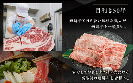 【定期便】飛騨牛 三昧 定期便 5回 飛騨牛 トキノ屋食品 [mt1729]