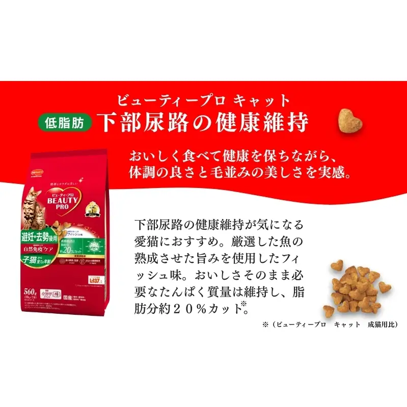 キャットフード ビューティプロ 機能性 セット キャットフード