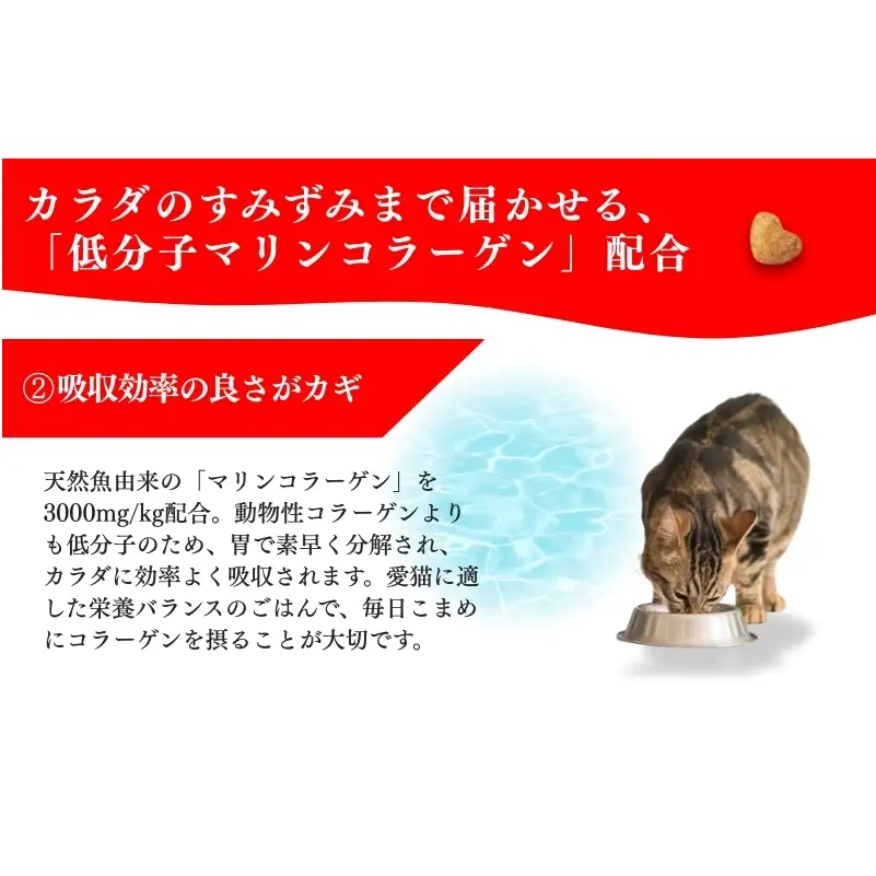 日本ペットフード ビューティープロ キャット 避妊・去勢後用 1.4kg（280g×5袋入）×8袋（ケース） キャットフード