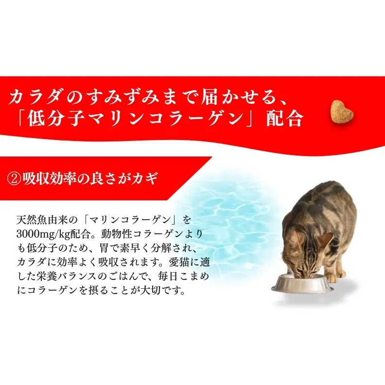 キャットフード ビューティープロ 下部尿路の健康維持 キャットフード