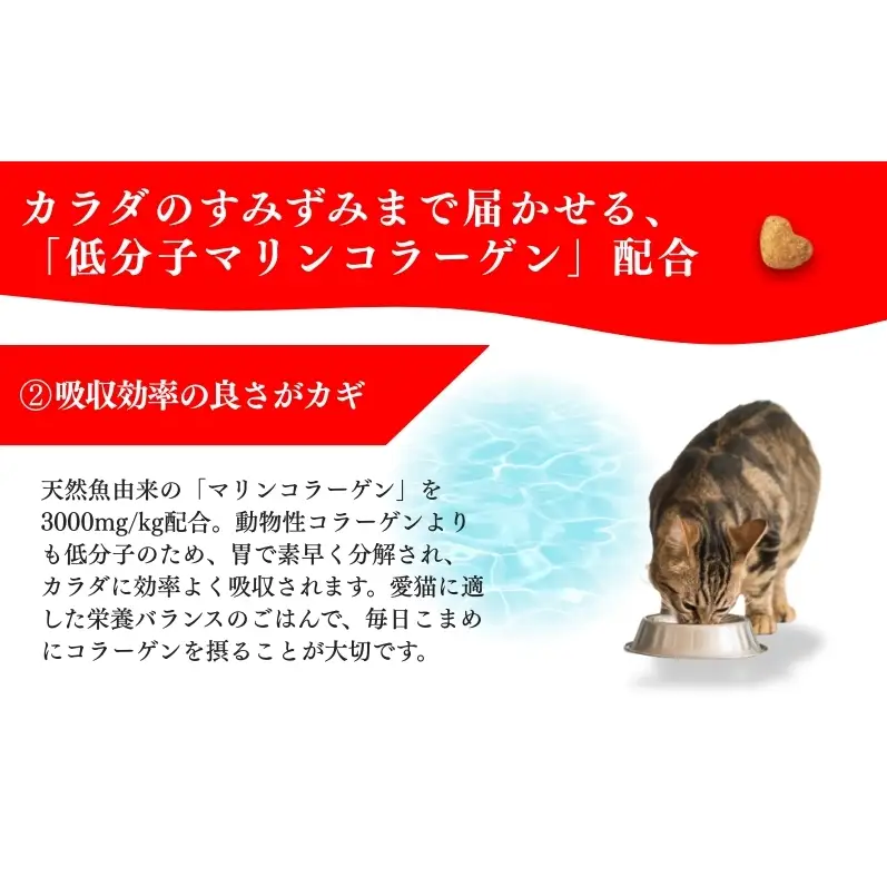 日本ペットフード ビューティープロ キャット 下部尿路の健康維持 低脂肪 1歳から 1.4kg（280g×5袋入）×8袋（ケース） キャットフード