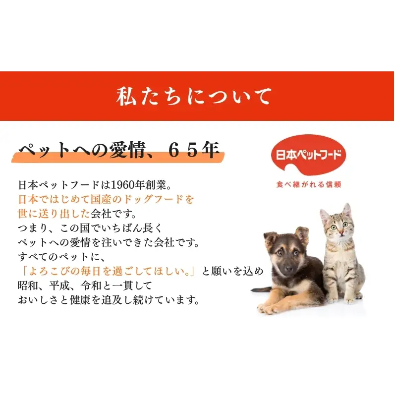《ペットフード》日本ペットフード コンボ キャット 腎臓の健康維持 600g(120g×5袋入) ×12袋(ケース)