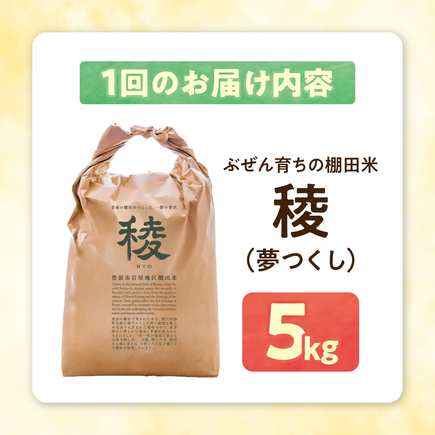 【全6回定期便】 求菩提米 夢つくし 5kg (5kg×1袋) VCO009 新米 定期便