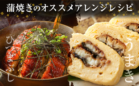 福岡県産 うなぎ 2尾  (1尾当たり：140g-180g) 国産 株式会社HOMIE 《45日以内に出荷予定(土日祝除く)》