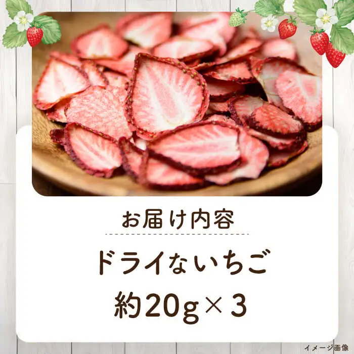 ドライ な いちご 20g×3 《壱岐市》【蒼花】 [JEO006]