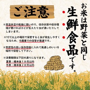 令和7年産 新潟県産 コシヒカリ 10kg (5kg×2袋) 坂井ファーム 特別栽培米コシヒカリ 新潟 新発田 米 玄米 精米 白米 ご飯 おにぎり 弁当 こしひかり おこめ せいだ 新潟 新発田 D34_04