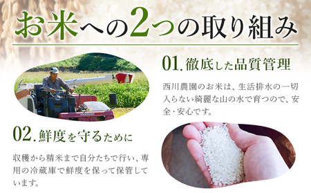 令和7年産 米 にこまる 約10kg (10kg×1袋) こめ コメ 白米 西川農園《30日以内に出荷予定(土日祝除く)》 熊本県 荒尾市 米 白米 こめ 