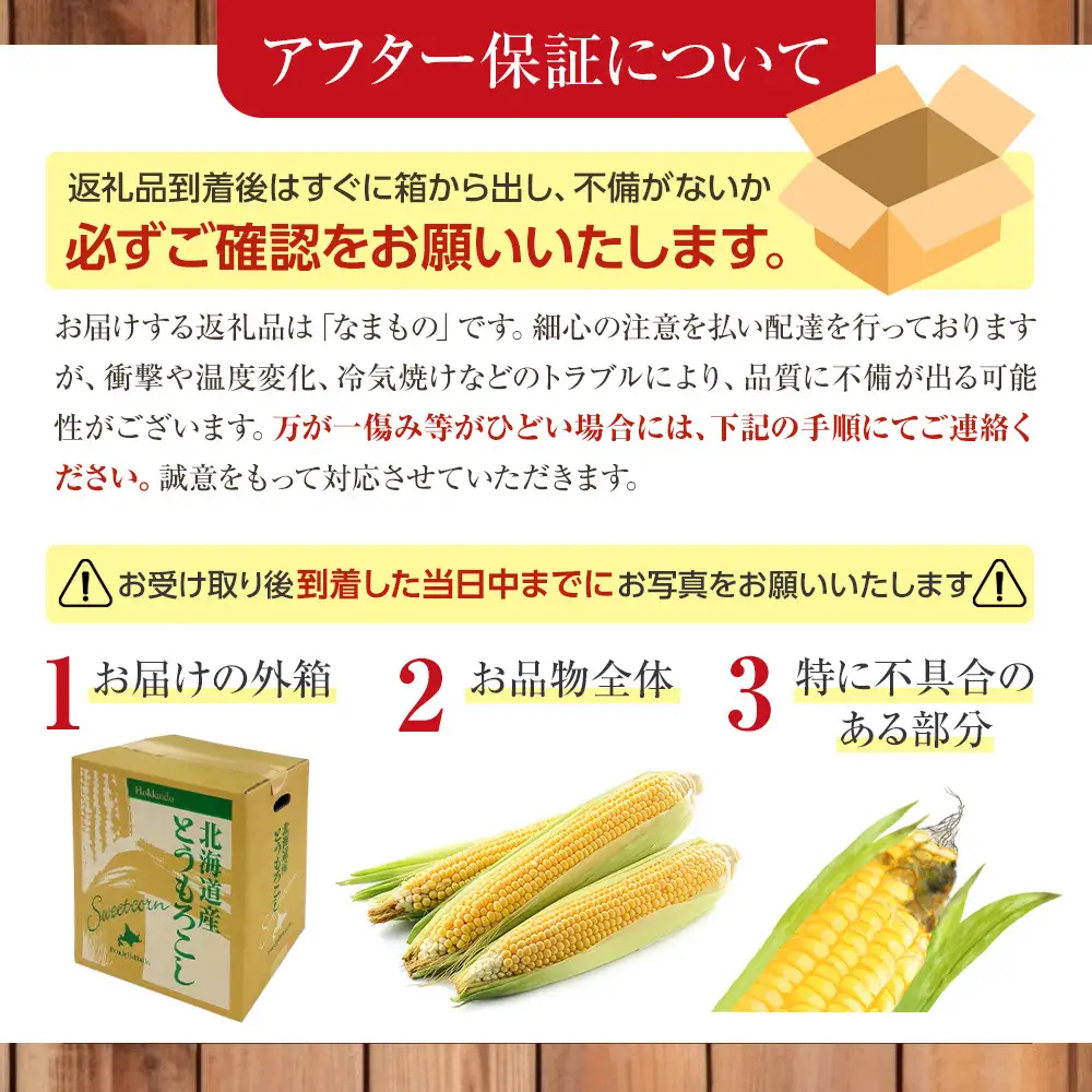 【先行予約】ピュアホワイト・露地とうもろこし　計10本　2026年8月下旬から発送開始 | とうもろこし 北海道 _04756