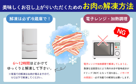ハンバーグ【3ヵ月定期便】【訳あり】あぐー豚肉ハンバーグ 750g