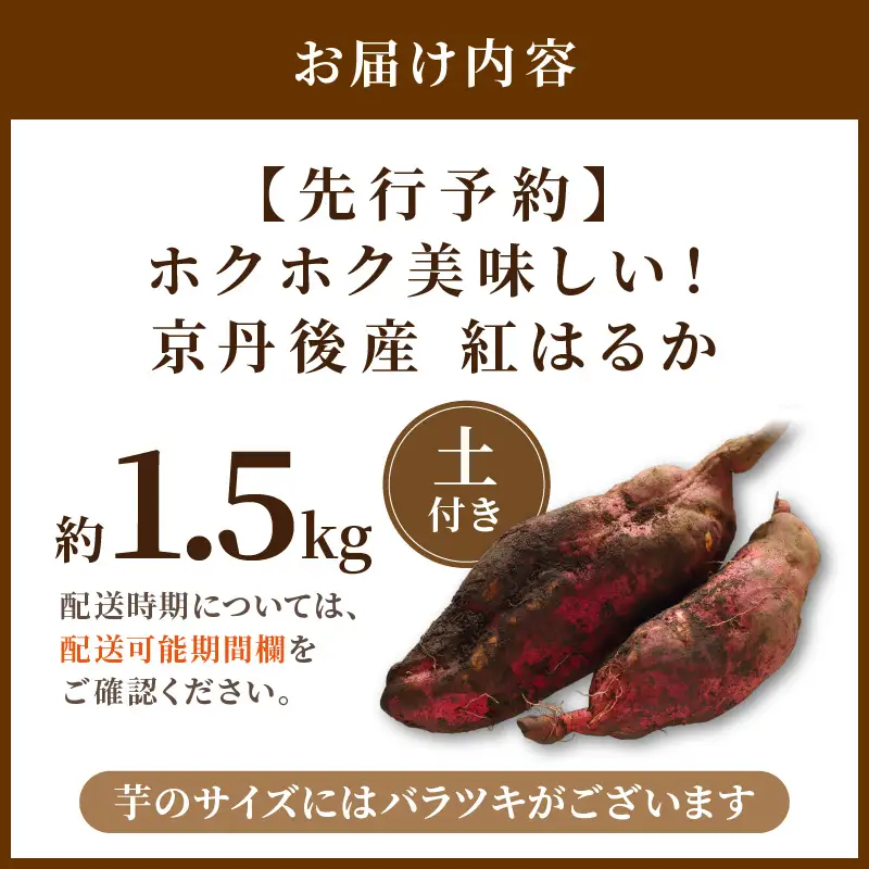 【先行予約】京丹後産 紅はるか 約1.5kg 土付き（2026年10月上旬～発送）