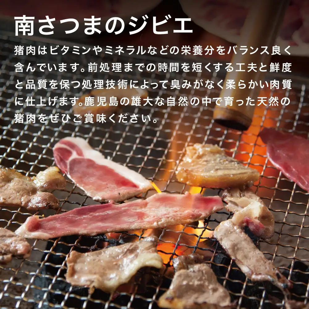 【南さつまジビエ】鹿児島県産 猪肉 牡丹鍋用 ロース 計500g（250g×2P） 冷凍 グルメ ジビエ肉 鍋用 おなべ イノシシ鍋