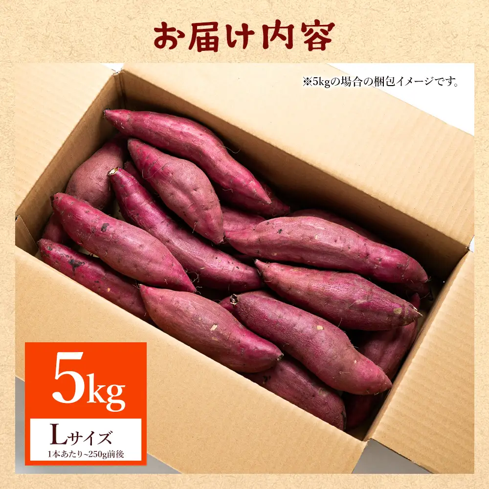 さつまいも(紅はるか) Lサイズ 5kg【さつまいもさつまいもさつまいもさつまいもさつまいもさつまいもさつまいもさつまいも】 at-0062