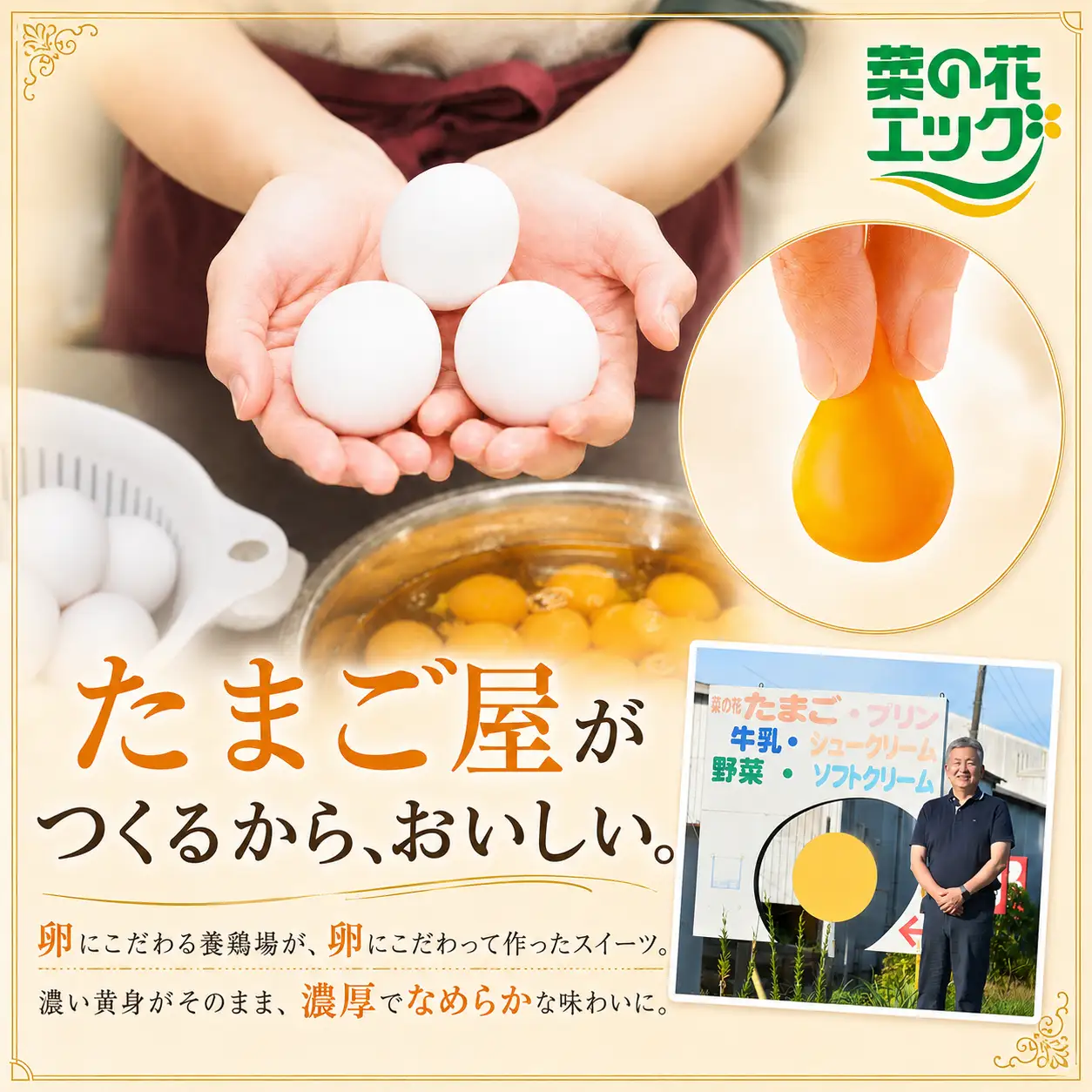 菜の花たまごのホワイトチョコプリン 6個セット｜食のちばの逸品 銅賞 千葉県産牛乳 自社農場卵 カシスソース クリーミー スイーツ ギフト お取り寄せ 洋菓子 贈り物 プリン｜千葉県 君津市