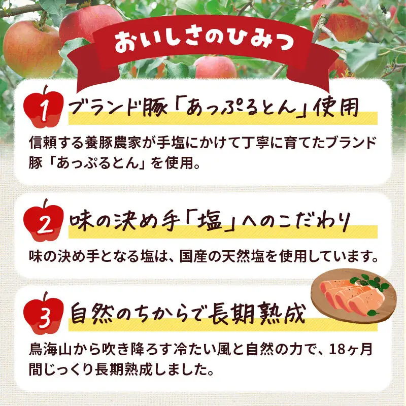 《定期便12ヶ月》生ハム スライス 30g×10パック 長期熟成 国産豚肉 あっぷるとん 秋田県横手市産