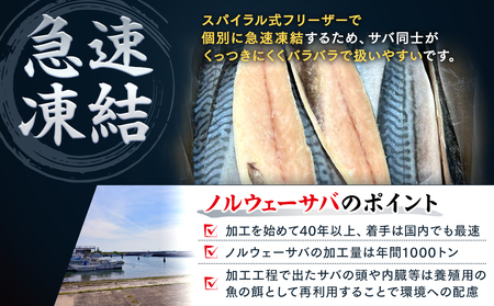 【定期便 隔月3回】 塩サバフィレ 計:9kg ※1回あたり3kg 冷凍 鯖 塩 さば 魚 塩さば さかな 海産物 おかず 鯖ご飯 魚介 海鮮 惣菜 塩サバ 塩鯖 焼き鯖 サバ 焼きさば 焼さば 南知多 定期便 人気 おすすめ 愛知県 南知多町