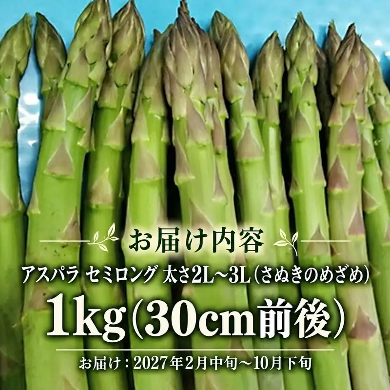 アスパラ さぬきのめざめ はなまる農園 香川県産 アスパラ【1kg 2L〜3L】 【46311864】
