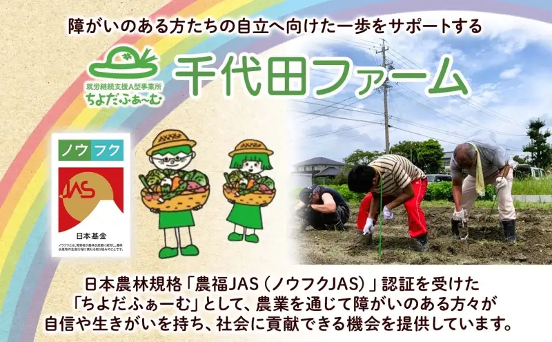 野菜詰合せ 季節の野菜 有機栽培 無農薬 千代田ファーム 野菜詰合せ【定期便 全4回】【冷蔵】
