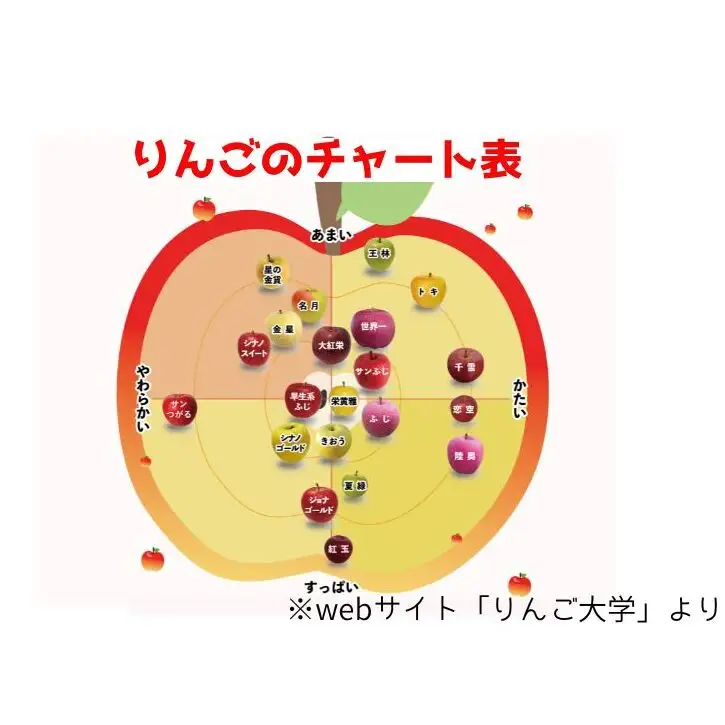 りんご詰合せ 品種おまかせ青森県産家庭用 りんご詰合せ【約5kg 2〜4品種】【2月発送】