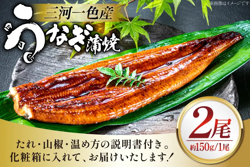 うなぎ 国産 蒲焼き 2尾 計 300g炭火手焼き 三河一色産