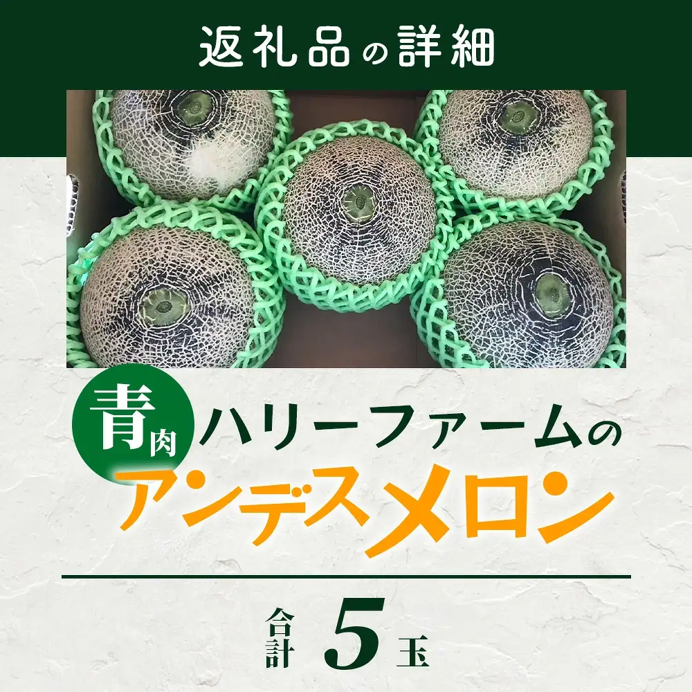 【2027年5月上旬～発送】アンデスメロン 青肉 5玉 (合計 約4.5～5kg) 先行予約 熊本県 多良木町産 果物 フルーツ メロン 先行予約 5個 青肉 ミツバチ交配 期間限定 数量限定 109-0501