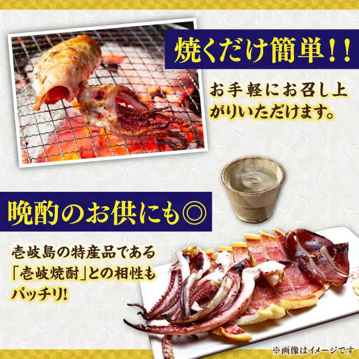 季節のイカ一夜干し1枚＋生ウニ60g 《壱岐市》【合同会社塚元】 [JDR026] ウニ イカ セット