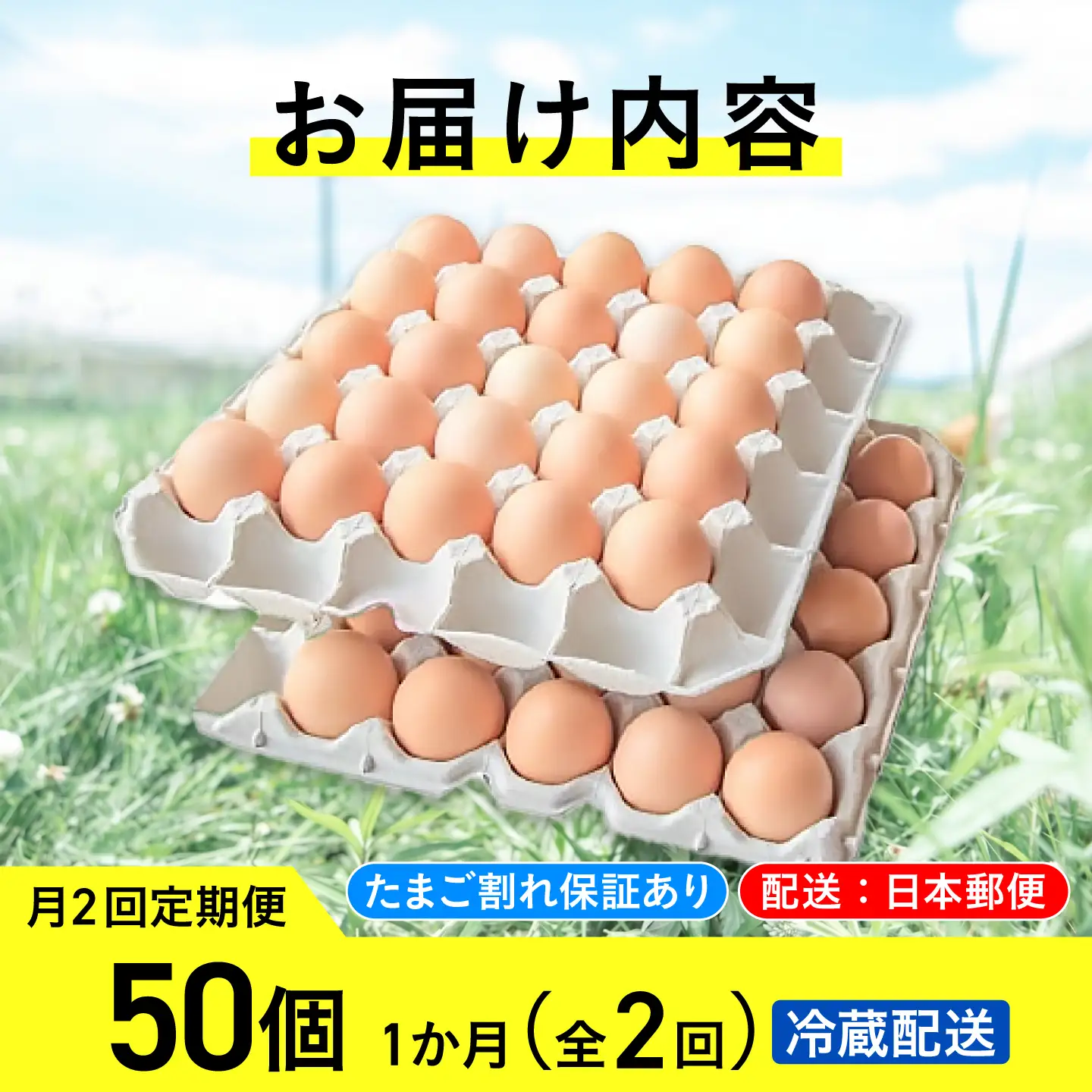 【月2回 1ヵ月定期便】平飼い有精卵 50個 計100個 冷蔵便  [AXAN019]