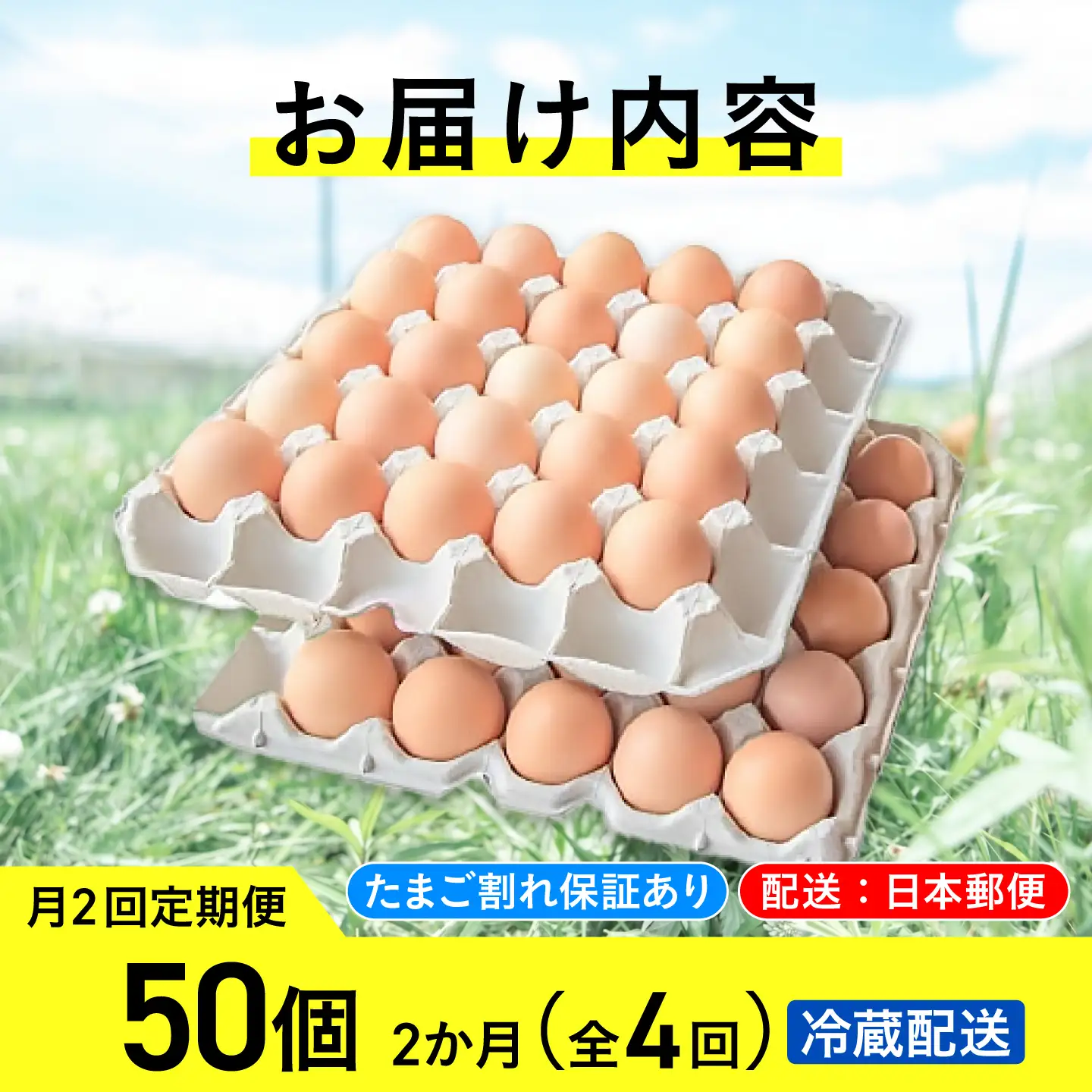 【月2回 2ヵ月定期便】平飼い有精卵 50個 計200個 冷蔵便 [AXAN020]