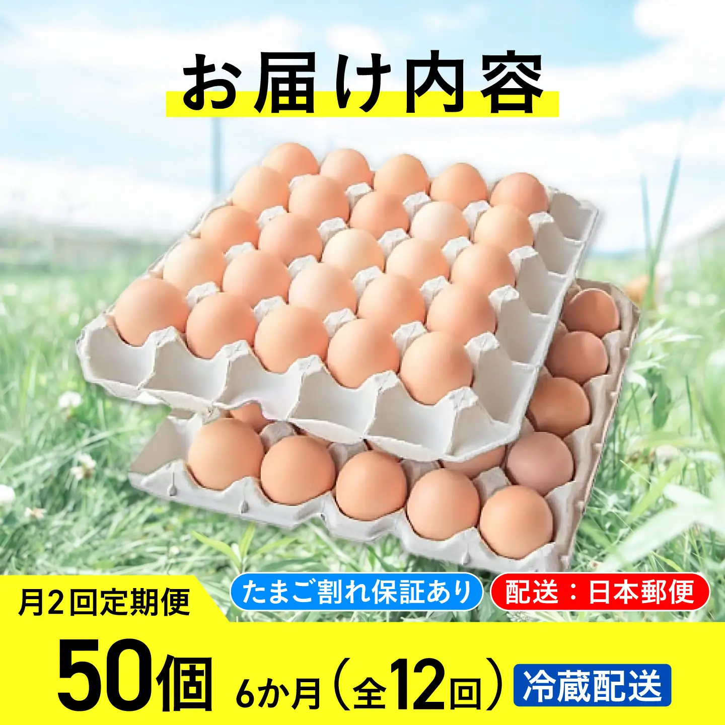 【月2回 6ヵ月定期便】平飼い有精卵 50個 計600個 冷蔵便  [AXAN022]