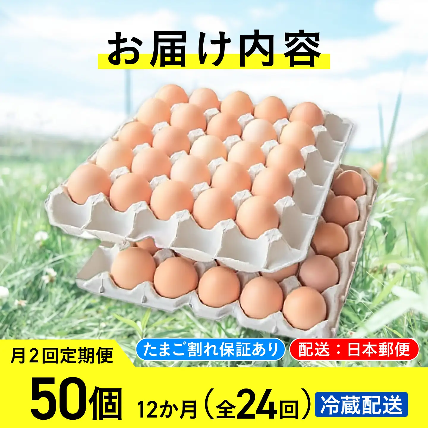 【月2回 12ヵ月定期便】平飼い 卵 50個 計1200個 冷蔵 [AXAN023]