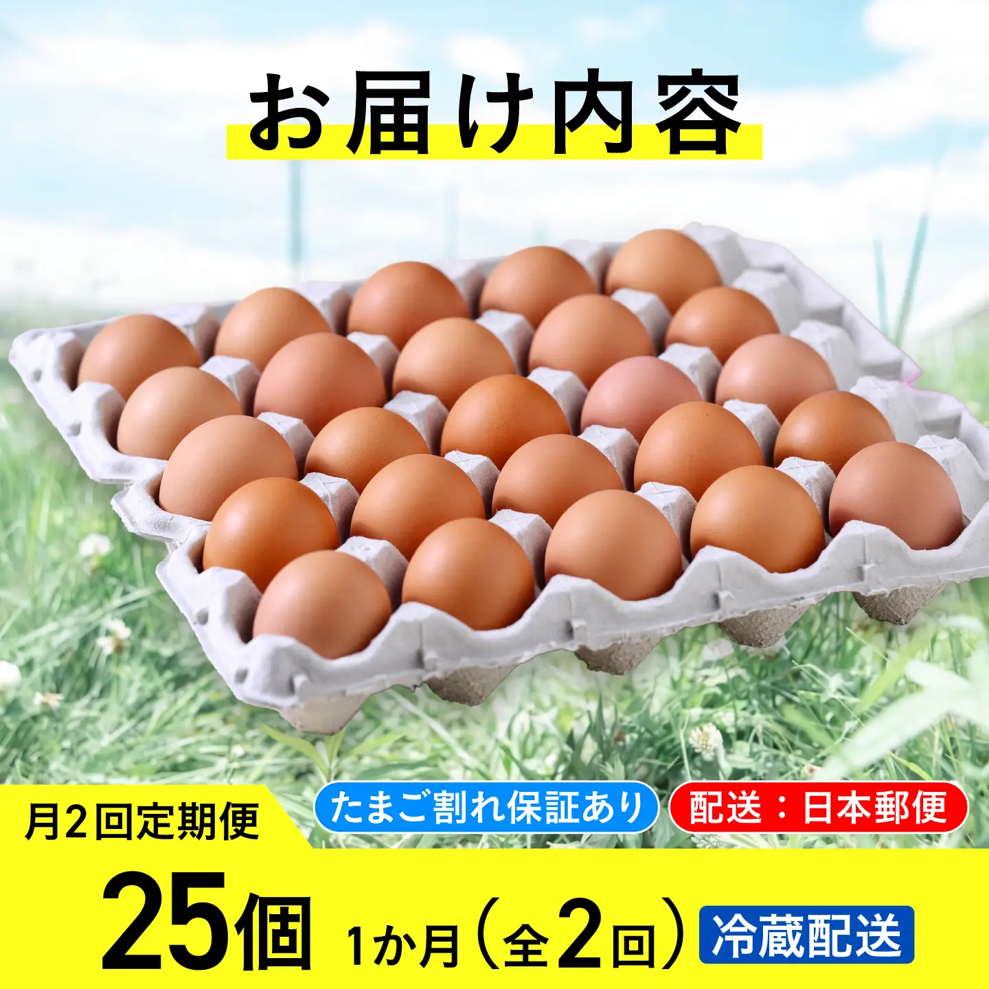 【月2回 1ヵ月定期便】平飼い有精卵 25個 計50個 冷蔵便  [AXAN024]