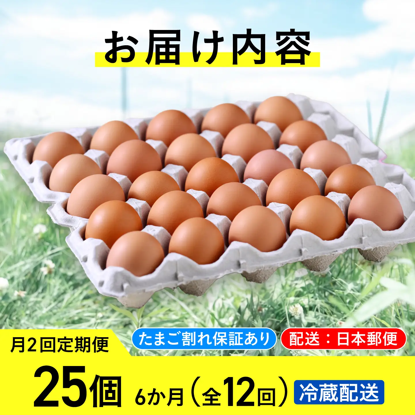 【月2回 6ヵ月定期便】平飼い有精卵 25個 計300個 冷蔵便 [AXAN027]