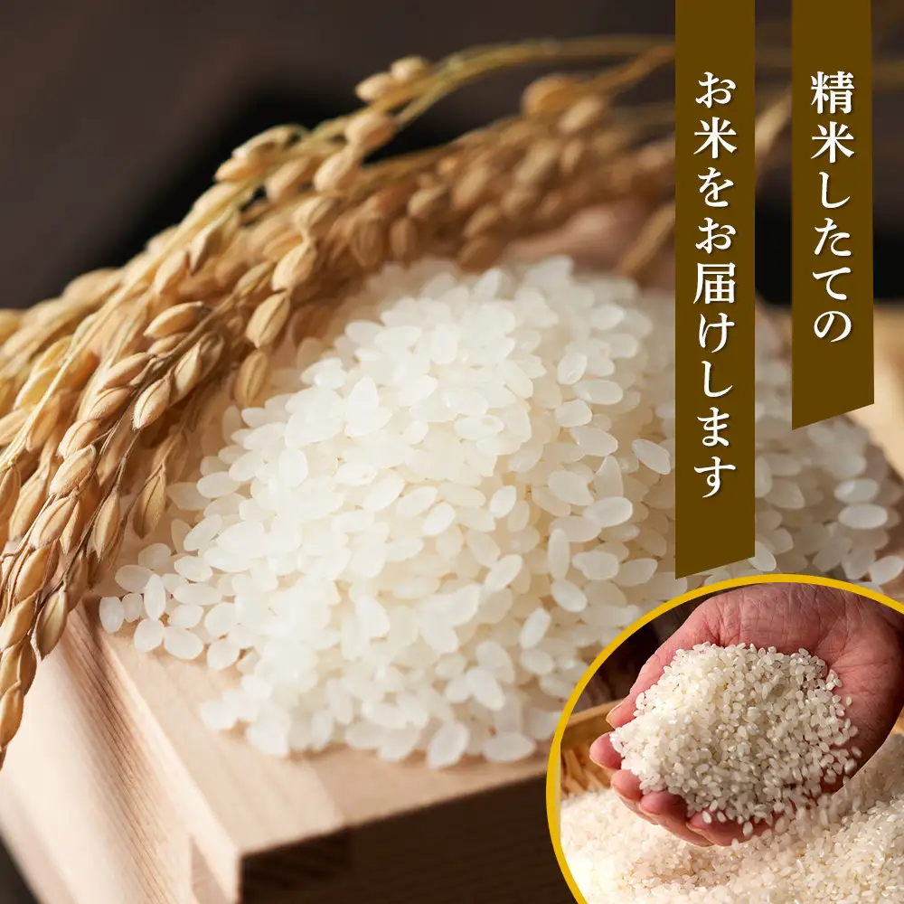 【特Aランク】令和7年 北海道産ゆめぴりか・ななつぼし食べ比べセット 10kg | ゆめぴりか _04809