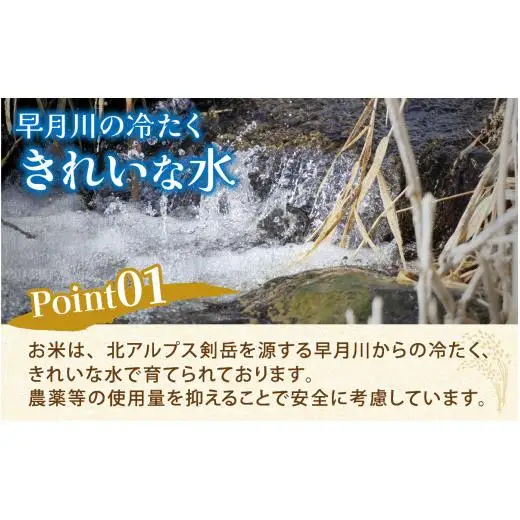 【12ヶ月定期便】富山県滑川産 弱アルカリ性米「ピロール農法米 コシヒカリ」（精米5kg）×12回 計60kg 与文のお米 産地直送 こしひかり おにぎり お米 白米 国産 ご飯 ごはん 滑川市 ピロール アグリめぐみ 頒布会 O-050003  アトピー 米