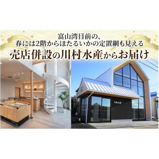 富山湾 ほたるいか 刺身・しゃぶしゃぶ用 ポン酢付