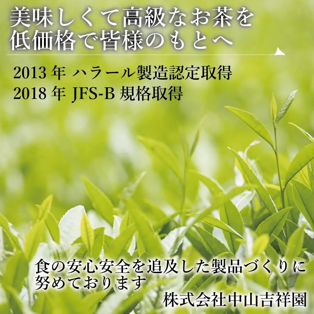 八女茶 水出し緑茶ティーバッグ(5g×20パック) 2袋セット