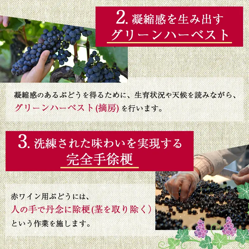 ワイン ソラリス ユヴェンタ 赤 ワイン