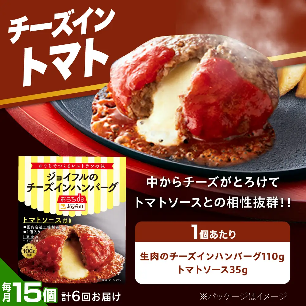 【全6回定期便】ジョイフル ハンバーグ スペシャル 詰め合わせ 2種 30個 セット [ABAA079]