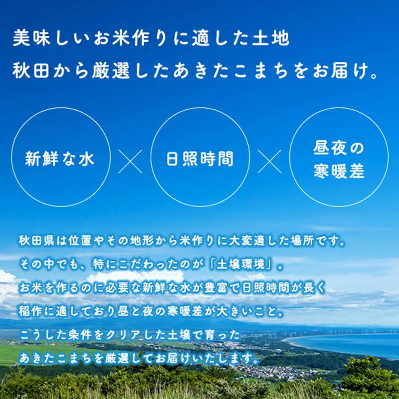 《定期便5ヶ月》あきたこまち 20kg（5kg×4袋）【5分づき】令和7年産 秋田県産 こまちライン